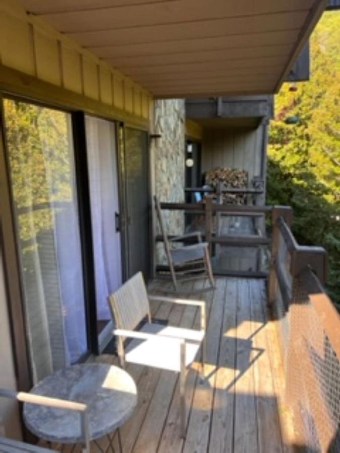 Bearadise Retreat At English Mountain Condo 塞维尔维尔 外观 照片